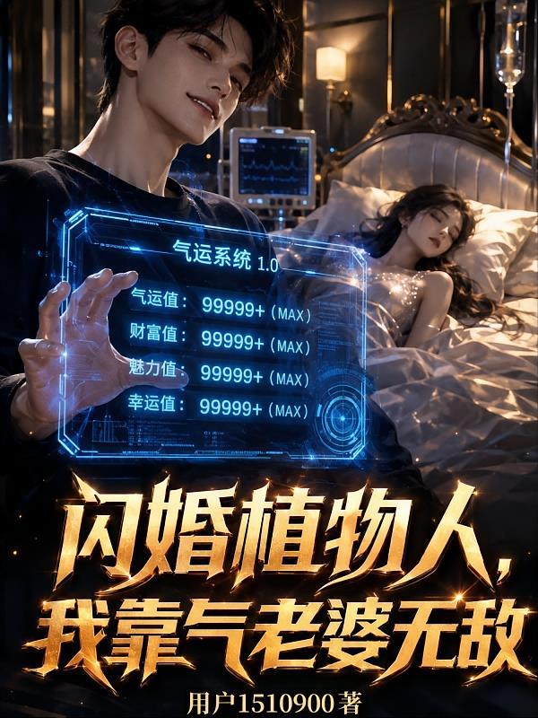 闪婚植物人，我靠气老婆无敌